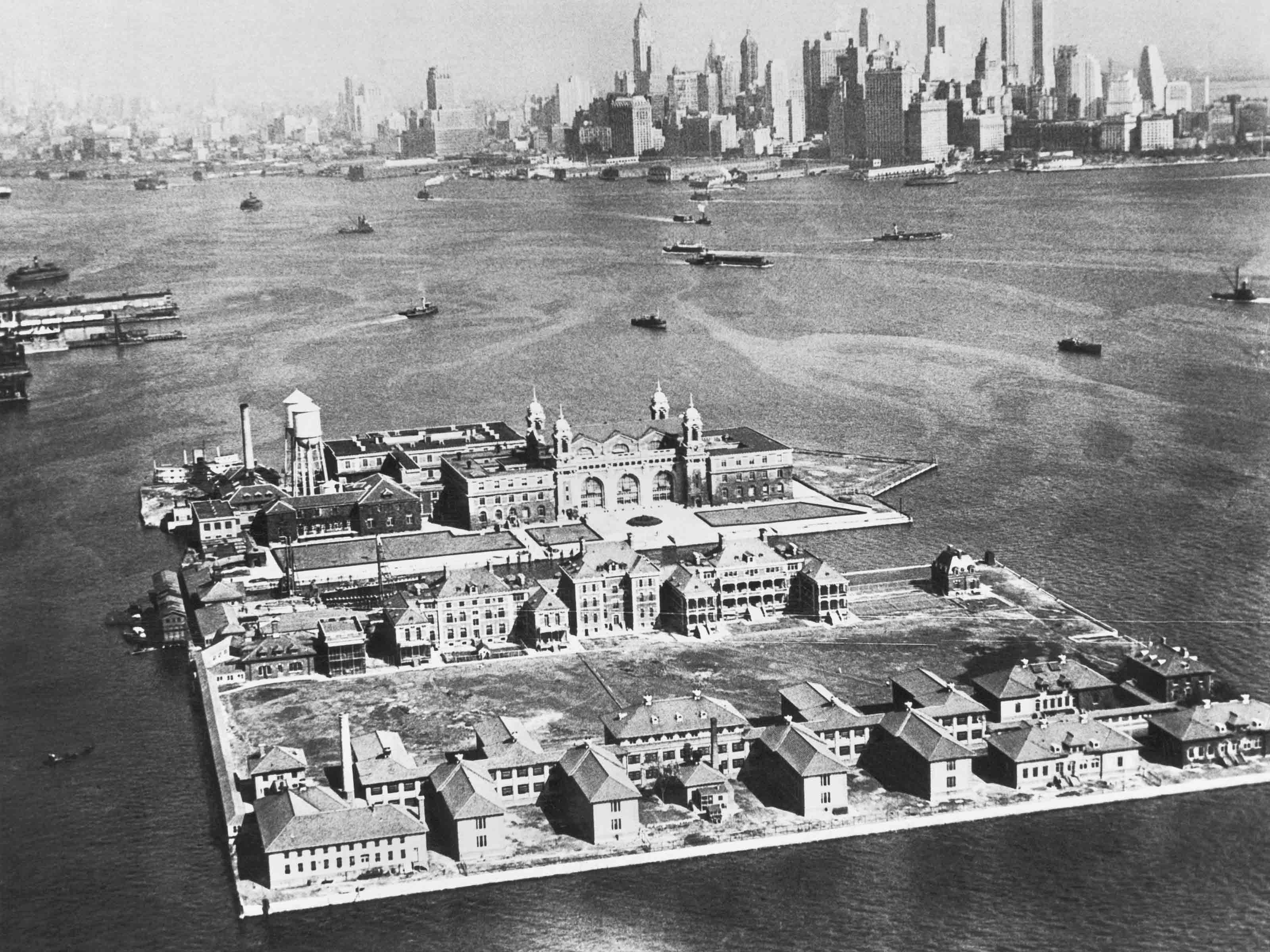 Ellis Island Definition | Examples and Forms